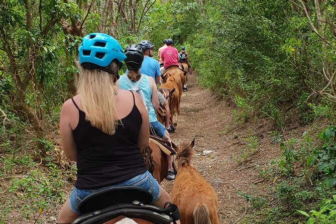 3 Hours Horseback Riding from Nature Trails to Sofa Stone - Key details before you saddle up