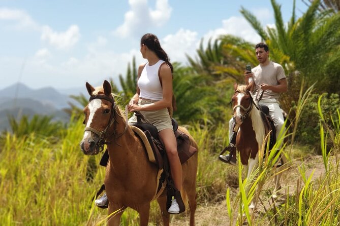 3 Hours Horseback Riding from Nature Trails to Sofa Stone - Riding uphill through St Kitts countryside