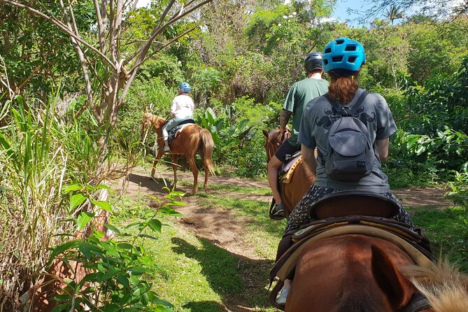3 Hours Horseback Riding from Nature Trails to Sofa Stone - First-time riders and families