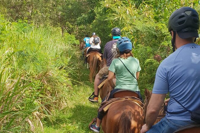 3 Hours Horseback Riding from Nature Trails to Sofa Stone - Pickup, timing, and the three-hour promise