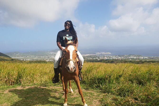 3 Hours Horseback Riding from Nature Trails to Sofa Stone - Trail conditions and the less polished side