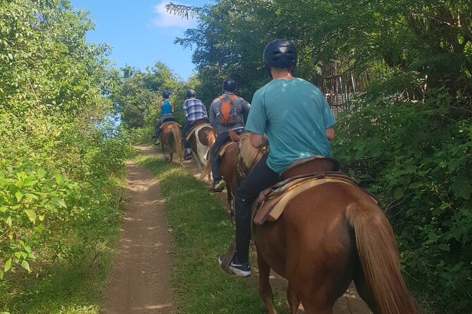 3 Hours Horseback Riding from Nature Trails to Sofa Stone - Is $97.50 a fair price?