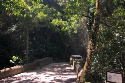 3 Hours Private Royal Highlight Tour in St. Kitts