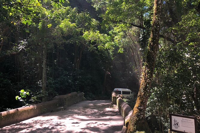 3 Hours Private Royal Highlight Tour in St. Kitts - Wingfield Estate, sugar ruins below the mountains