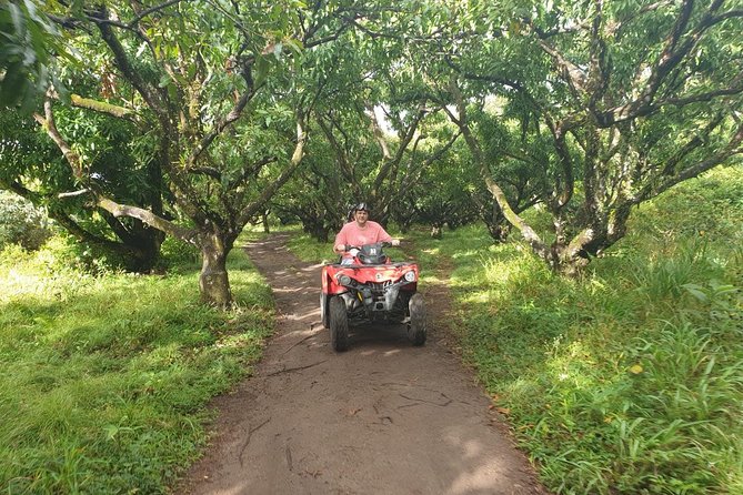 ATV Tour of St Kitts - Pickup from the port or hotel