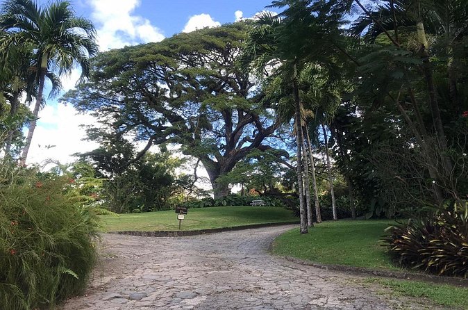 Basseterre Half Day Tour - South Friars Beach and the Atlantic-Caribbean Meeting Point