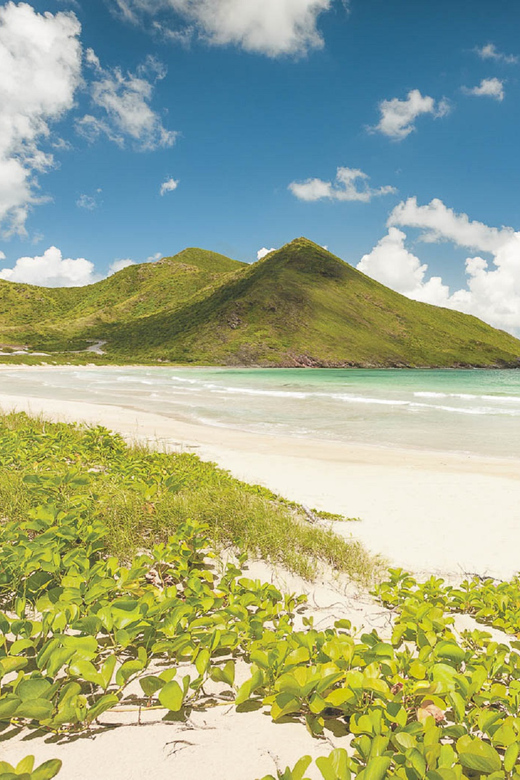 Basseterre: Highlights Capital and Beach Tour - Who will get the most from this outing