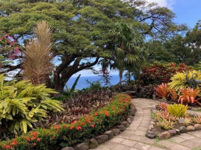 Plantation and Beach Extravaganza