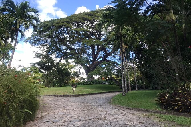 Basseterre Plantation Private Half Day Tour - Fairview Great House and its French connection