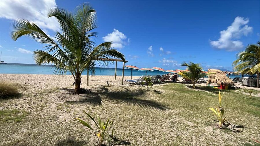 Basseterre: St. Kitts and Nevis Catamaran Tour with Lunch - Lunch and beach time on Nevis