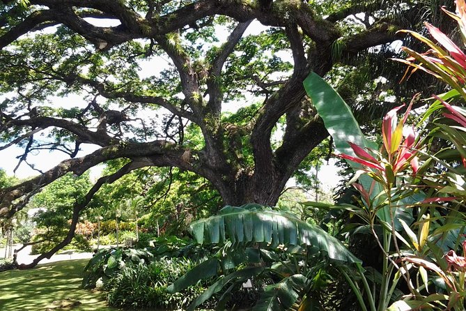 Best of St. Kitts Highlight Tour. - Key points to know before booking