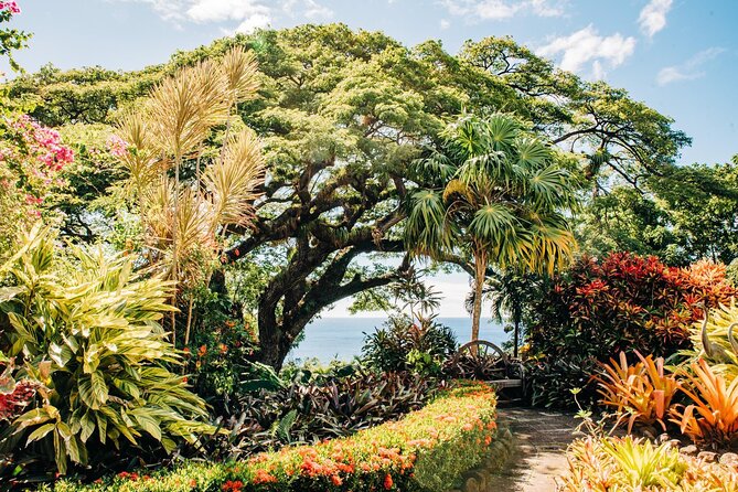 Best of St. Kitts Private Half Day Tour - Brimstone Hill Fortress and its 800-foot views