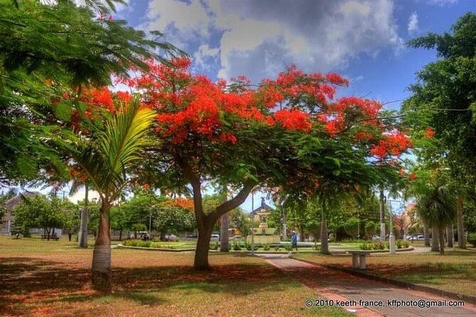 Best of St. Kitts Private Half Day Tour - A guide-led day with room for questions