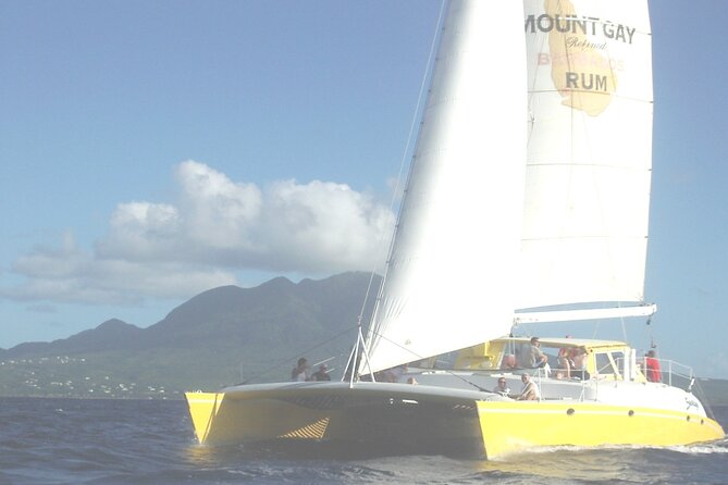 Catamaran Sunset and Cocktail Cruise - Cocktails, appetizers, and the onboard mood