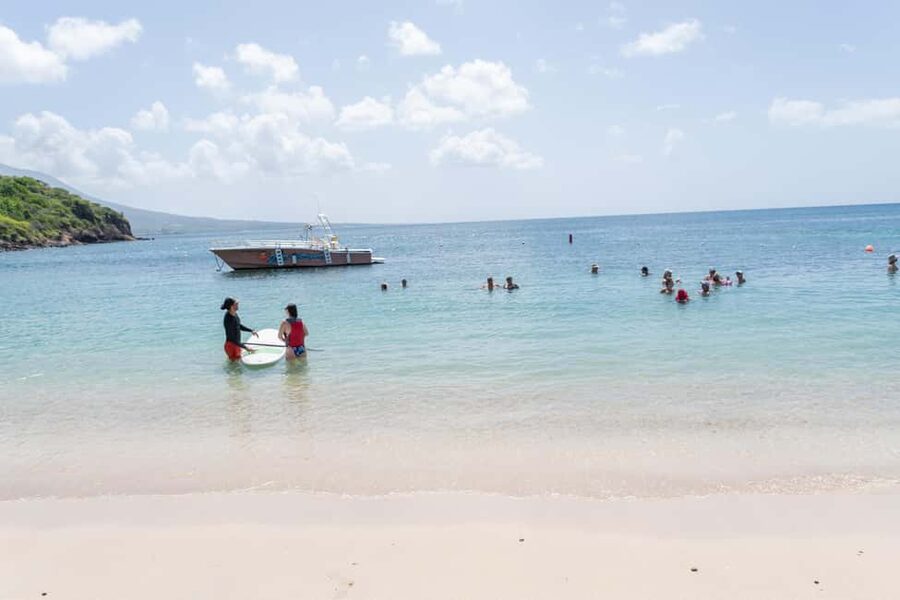 Cockleshell: Beach Excursion, Snorkeling, and Scenic Views - Green monkeys and the St. Kitts sign