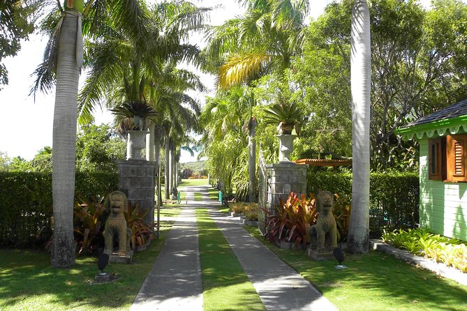 Discover Nevis, Island Tour (Private) - Why this private Nevis tour works as an introduction