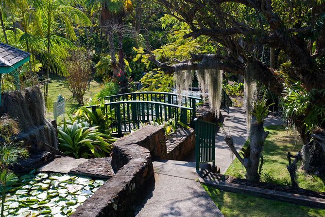 Discover Nevis, Island Tour (Private) - Timing, pickup, and the practical details