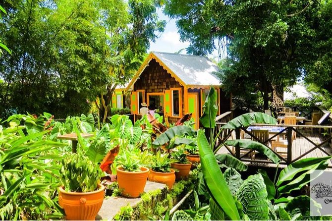 Full Island Private Tour - Who Gets the Best Value at $60?