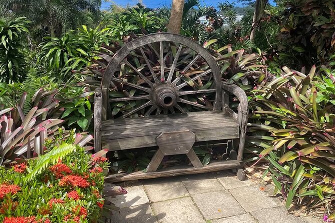 Half-Day Island Adventure of St Kitts - What the small group and included drinks mean
