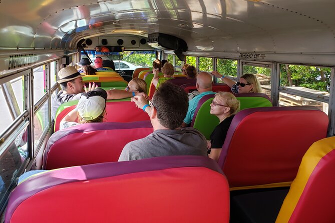 Half Day St. Kitts Party Bus City Excursion and Beach - The party bus ride, drinks, music, and local commentary