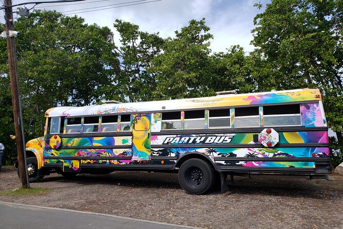 Half Day St. Kitts Party Bus City Excursion and Beach - What the strongest parts of the experience are