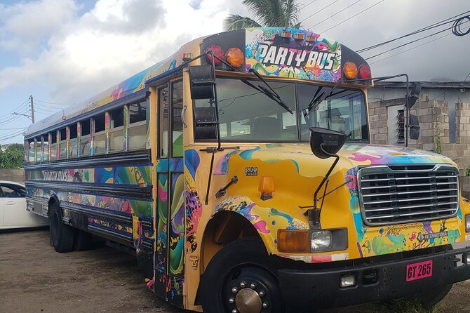 Half Day St. Kitts Party Bus City Excursion and Beach - Who should book this St. Kitts party bus?