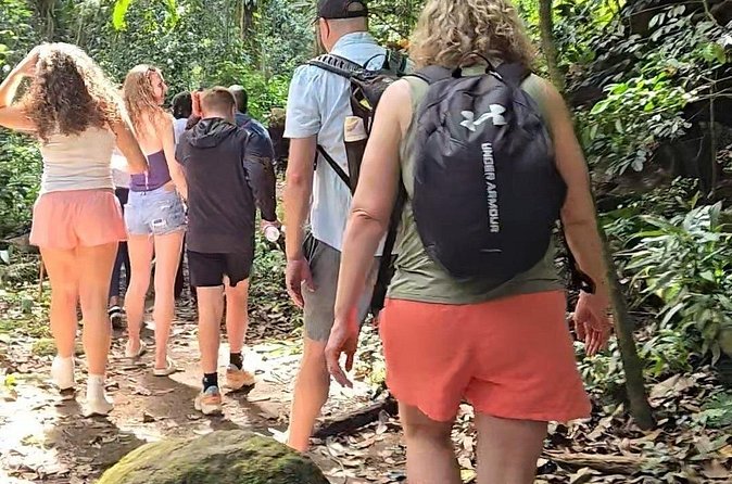 Half-Day St. Kitts Rainforest Hike - Who should book this St. Kitts hike?