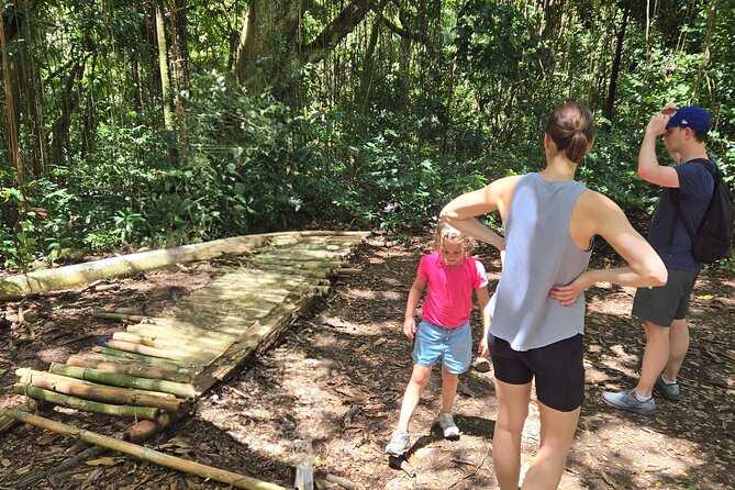 Half-Day St. Kitts Rainforest Hike - The open-air ride to Wingfield-Phillips