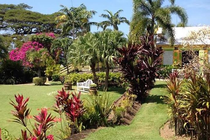 Half-Island Tour of St Kitts - Basseterre’s landmarks in a compact walk