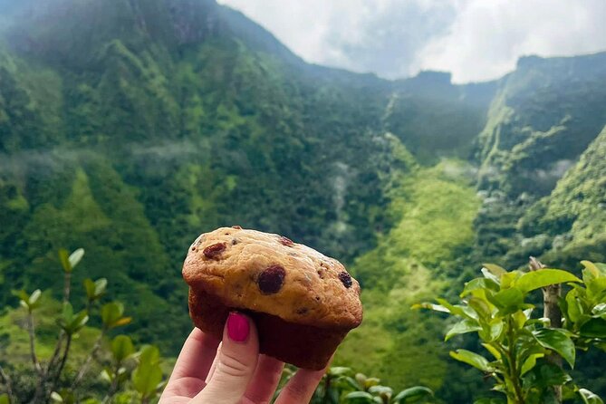 Hike St. Kitts: Highest peak Mount Liamuiga Volcano - The descent is its own challenge