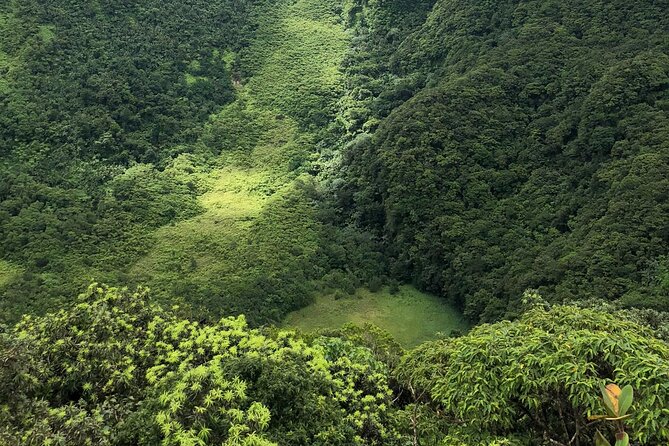Hike St. Kitts: Highest peak Mount Liamuiga Volcano - Transport, timing, and cruise-day planning