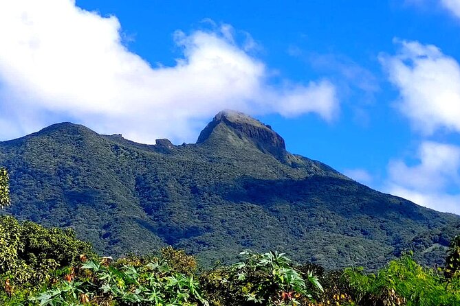 Hike St. Kitts: Highest peak Mount Liamuiga Volcano - Small celebrations and personal touches