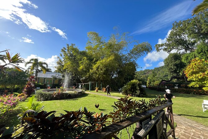 Hike St Kitts: Wingfield Rainforest and Romney Experience - What the guides add to the walk
