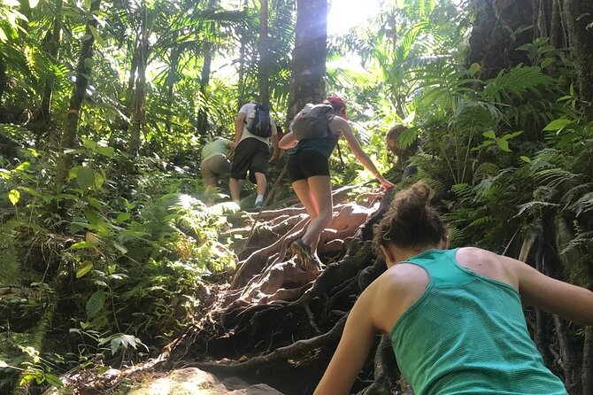 Hiking Mount Liamuiga Volcano in St Kitts - Guides make or break the day