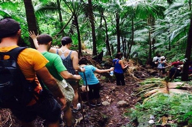 Hiking Mount Liamuiga Volcano in St Kitts - The summit reward is brief but memorable