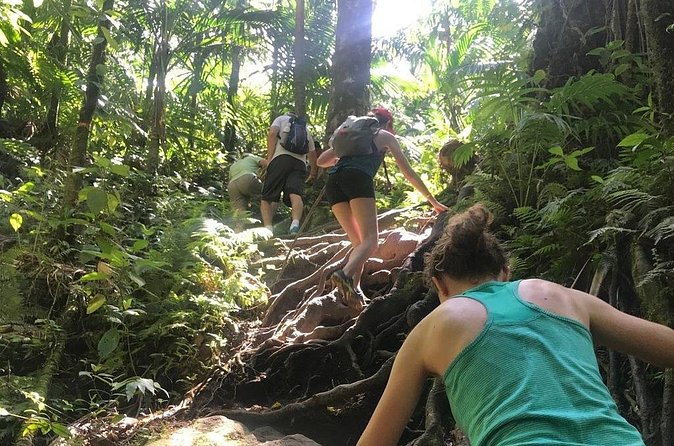Hiking Mount Liamuiga Volcano in St Kitts - What to wear and pack for Mount Liamuiga