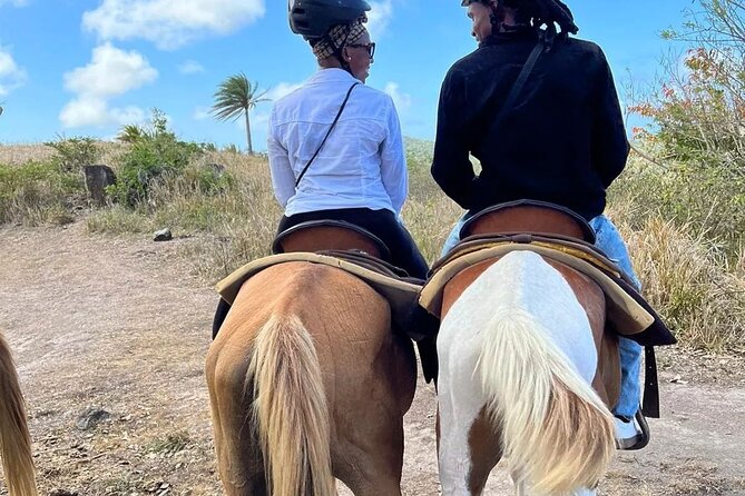 Horseback Riding, A Scenic Escape - Why this horseback ride feels different from a standard island tour