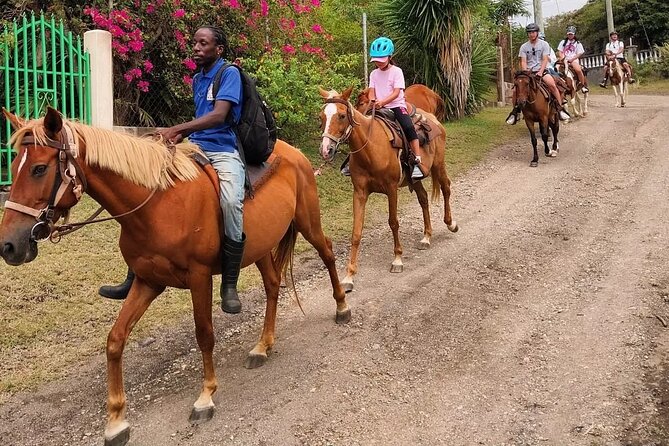 Horseback Riding, A Scenic Escape - The Basseterre viewpoint and Sofa Stone stop