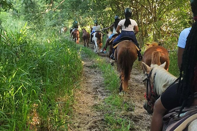 Horseback Riding, A Scenic Escape - What the $110 price includes in practical terms
