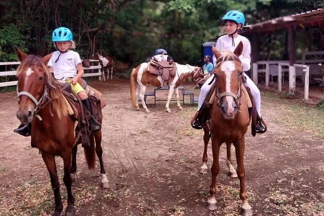 Horseback Riding, A Scenic Escape - Who should book this St. Kitts horseback ride