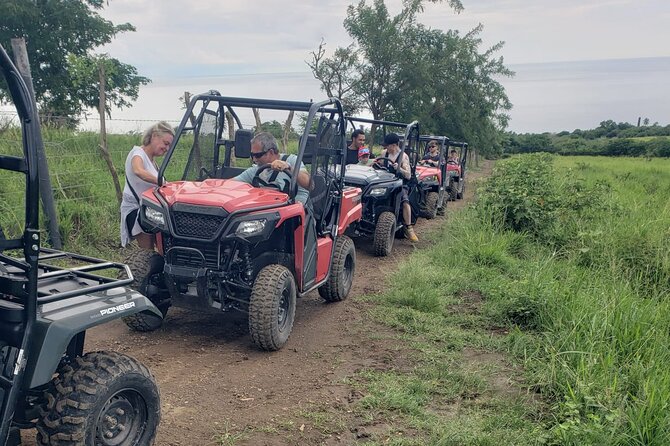 Jungle bikes Dune Buggy - How the $200 group price compares in value