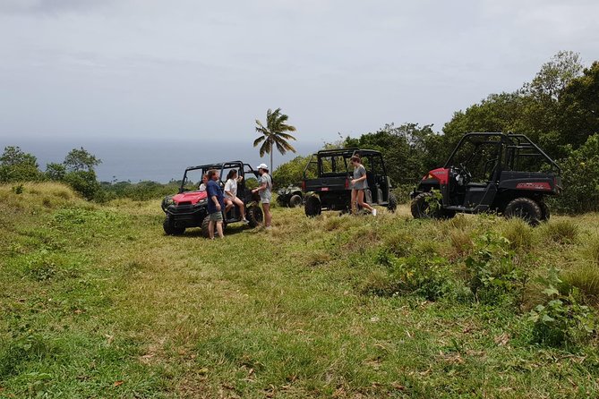 Jungle Bikes Dune Buggy & Beach Tours in St Kitts - Taking the wheel through sugar cane fields