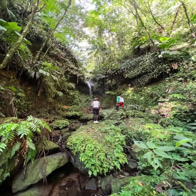 Lawyer Stephen Hike with Waterfall and Cave Hike - Key points at a glance