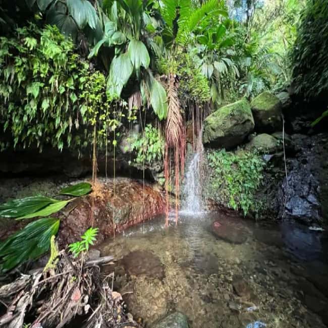 Lawyer Stephen Hike with Waterfall and Cave Hike - Starting at Olivees Mountain