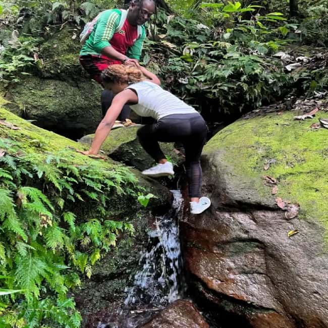 Lawyer Stephen Hike with Waterfall and Cave Hike - Choosing the advanced route to the second cascade