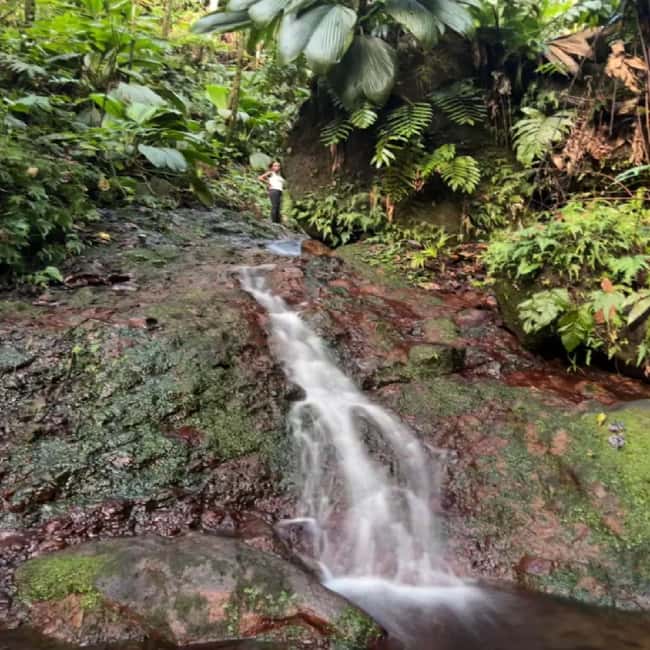 Lawyer Stephen Hike with Waterfall and Cave Hike - Should you book the Lawyer Stephen Hike?