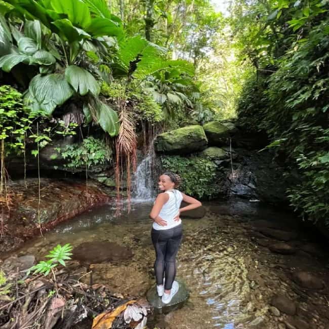 Lawyer Stephen Hike with Waterfall and Cave Hike - The cave and the first waterfall