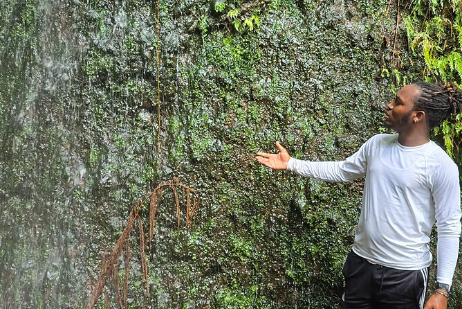 Lawyer Stephen’s Cave & Waterfalls Hike - The Southeast Peninsula supplies the big views