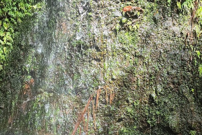 Lawyer Stephen’s Cave & Waterfalls Hike - Lawyer Stephen’s Cave and the first waterfall