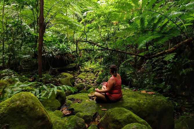 Mindfulness Rainforest Hike, Forest Bathing, Volcanic Hot Springs - A Rainforest Walk Built Around Slowing Down